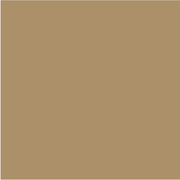PU pigment S matt by ICA Pidilite